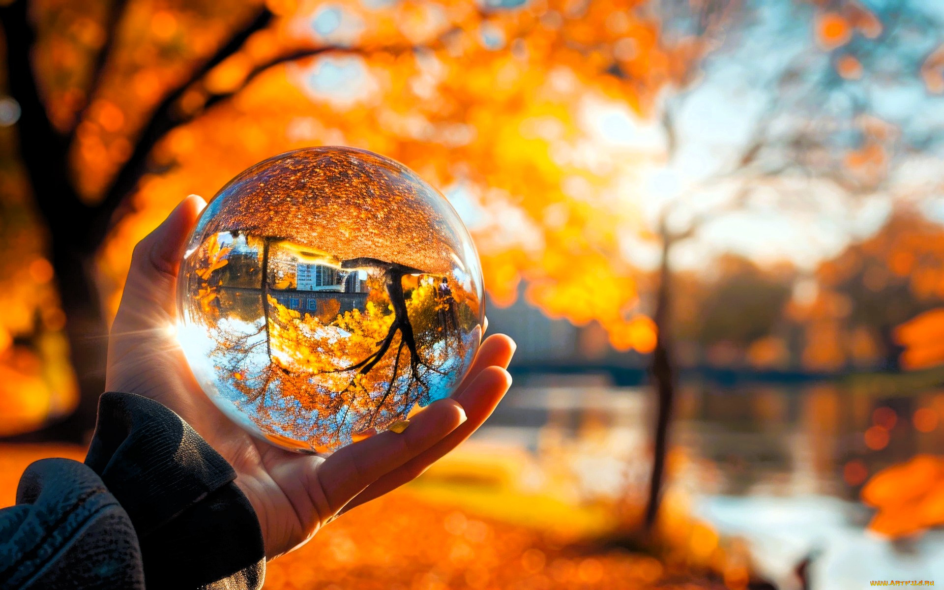 3 ,  , nature, , , , , , 